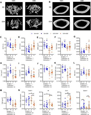 Cannabidiol-Treated Ovariectomized Mice Show Improved Glucose, Energy, and Bone Metabolism With a Bloom in Lactobacillus